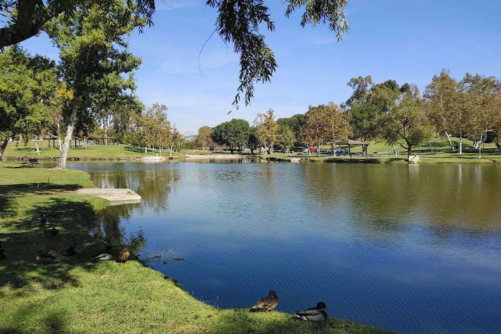 east fullerton california pond