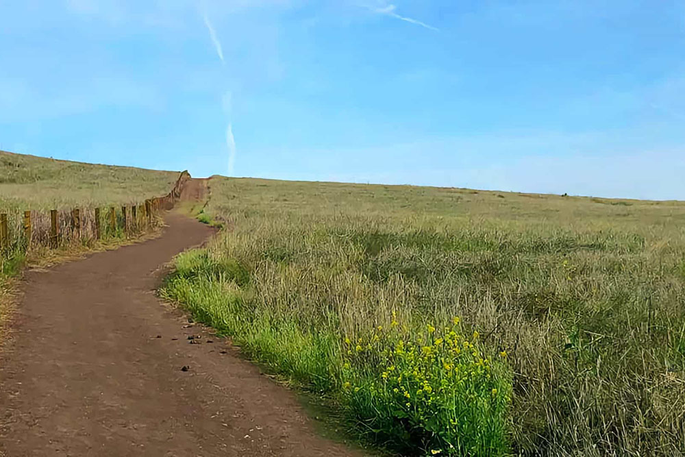 quail hill trail in irvine, california