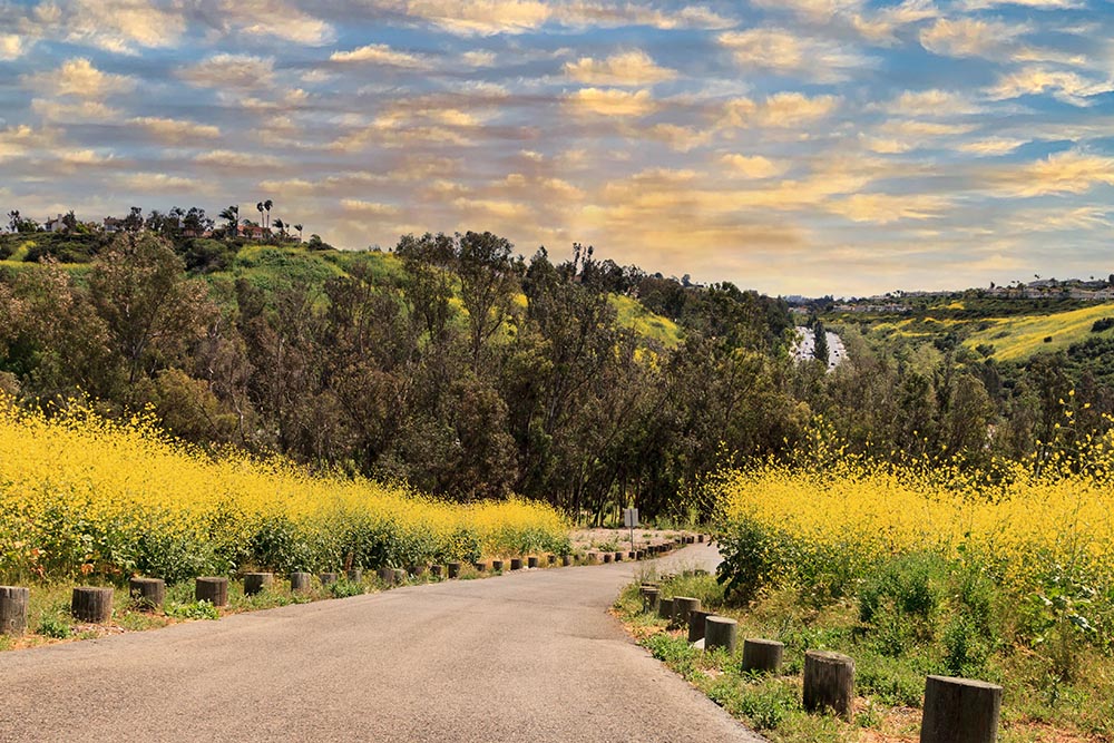 sunset over aliso viejo wilderness park view