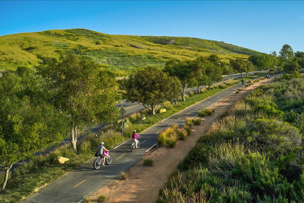 shady canyon area in irvine california