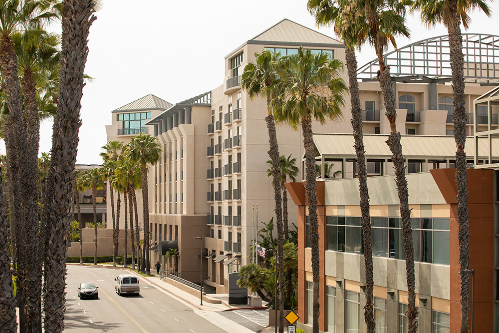 palm tree framed view of the downtown skyline of brea, california