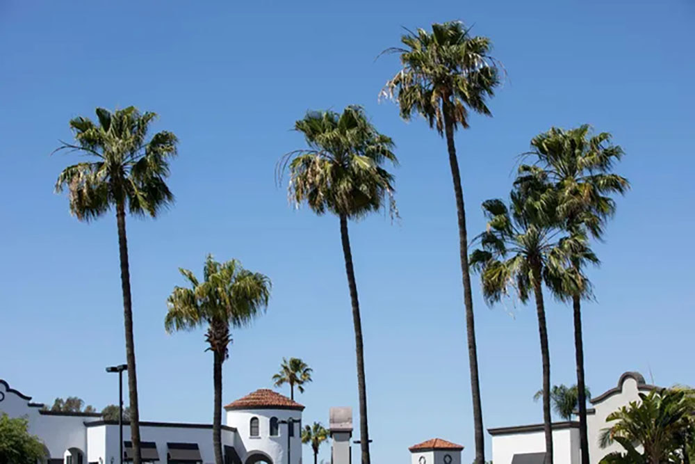 costa mesa near santa ana california