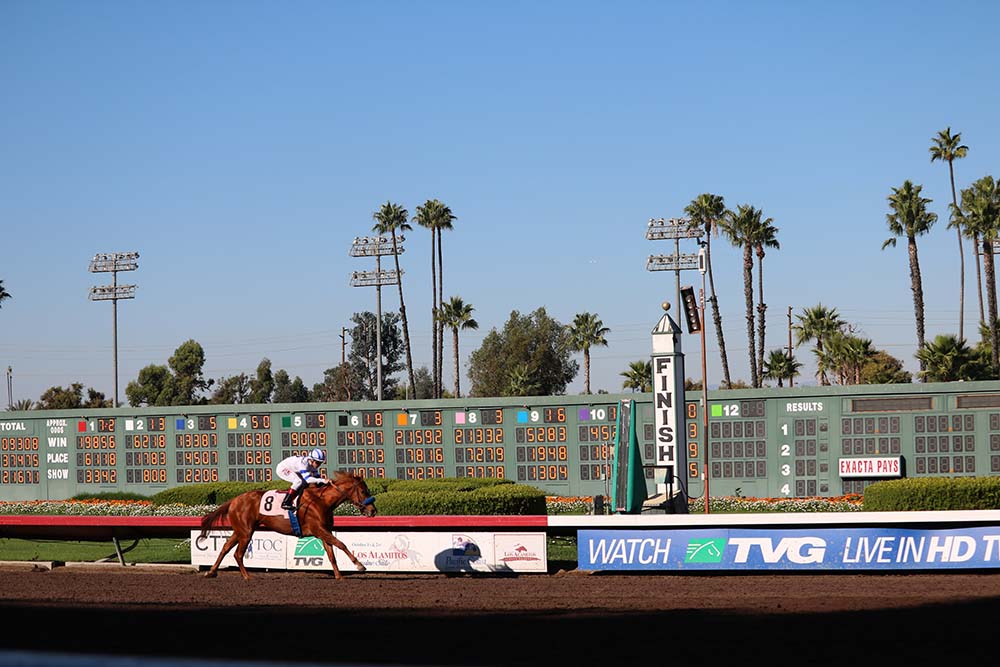 los alamitos horse racing track